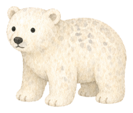 Ours blanc
